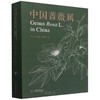 中国蔷薇属 &2503 商品缩略图0