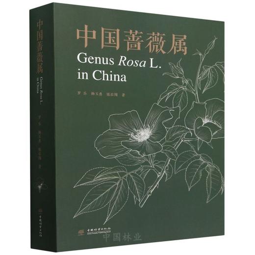 中国蔷薇属 &2503 商品图0