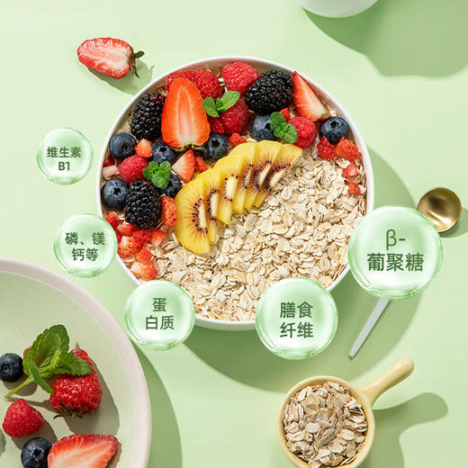 【自营】阴山优麦有机大粒燕麦片850g 商品图8