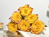 【金色海岸玫瑰.第二份减10元】10支/份 长约60-65cm 商品缩略图12