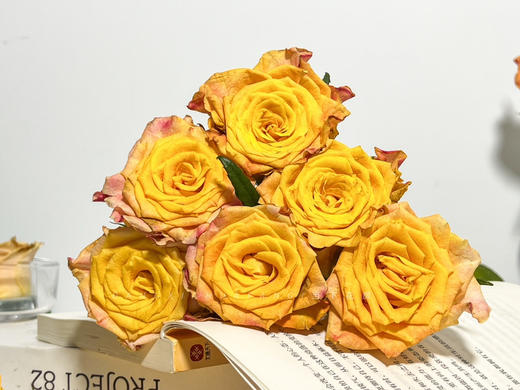 【金色海岸玫瑰.第二份减10元】10支/份 长约60-65cm 商品图12