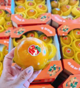 好柿连连 脆甜柿9头约3.5斤/箱  | 水果