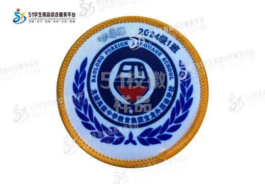 定制深圳市龙城高级中学教育集团宝龙外国语学校徽定做缝制包邮51 商品图4
