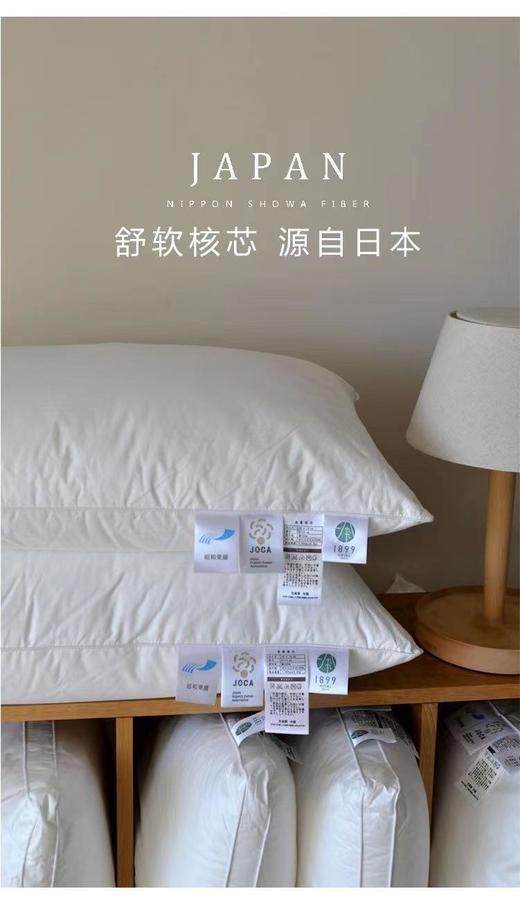 1899酒店枕芯【一对装！】外贸原单！ 商品图4
