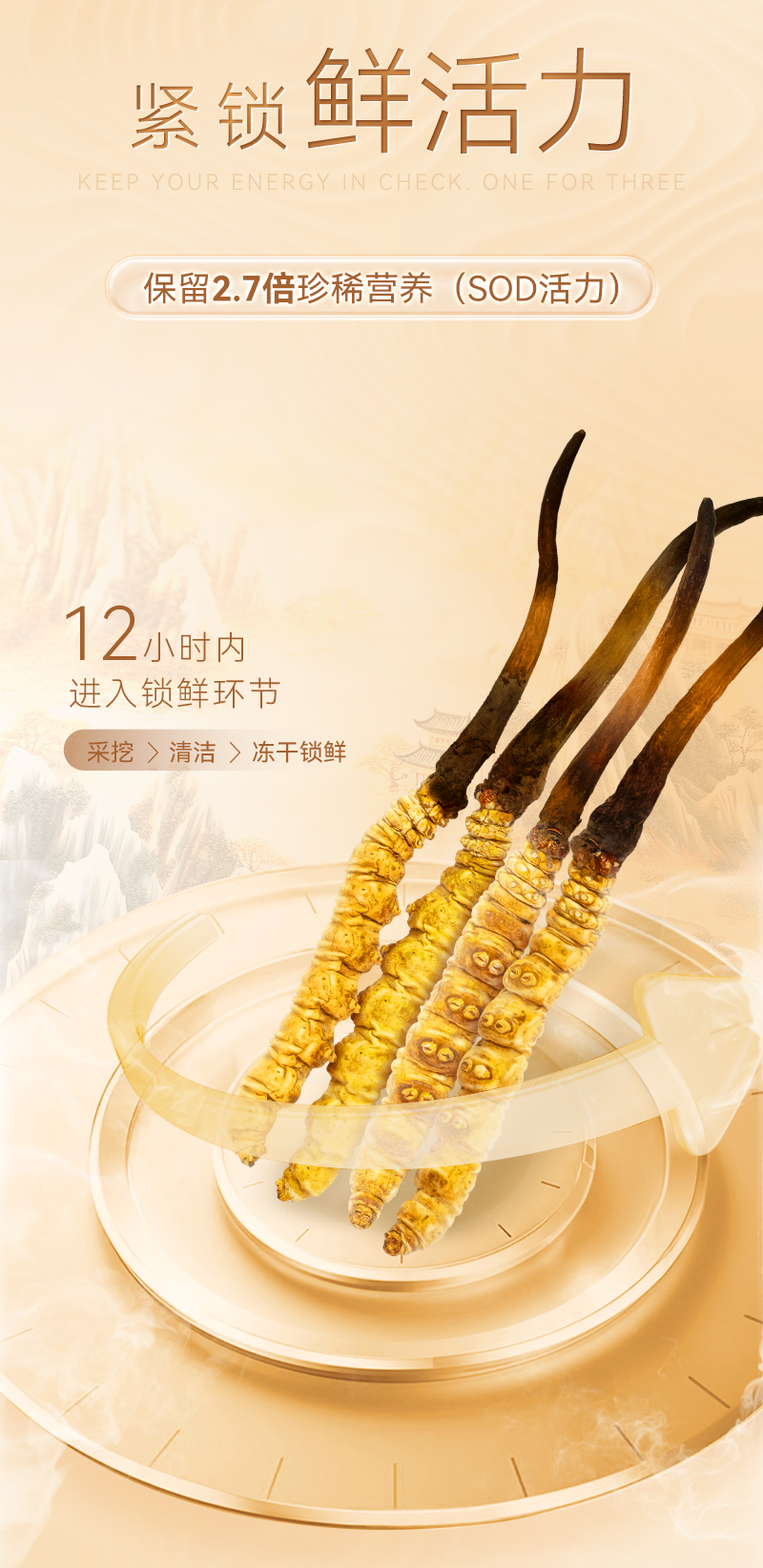 东阳光锁鲜冬虫夏草(s3400)5克装 高端礼盒