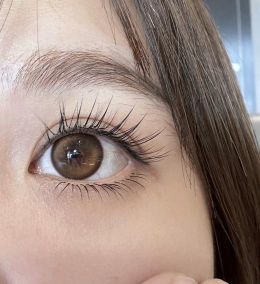 ginomii 半年抛 顽皮榛果 直径14.2mm 商品图8