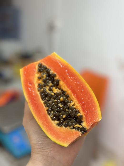 〔上海直发包邮01〕海南奶酪木瓜（树上熟） 商品图0