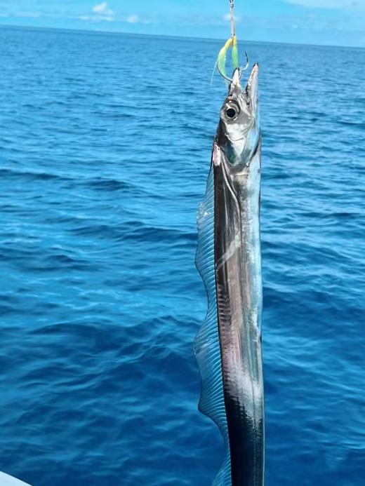 泰国普吉包船海钓皇帝岛一日游【朋友组团、家庭出游+浮潜+垂钓+现钓现做现吃免费加工+往返接送】 商品图5