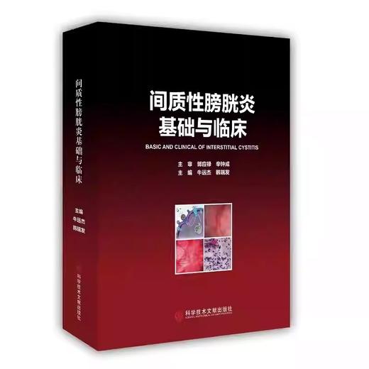 间质性膀胱炎基础与临床 牛远杰 韩瑞发 主编 科学技术文献出版社 9787523515976 商品图1