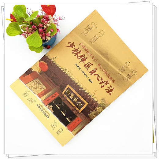 少林禅医身心疗法 林廷文 主编 中国中医药出版社 商品图1