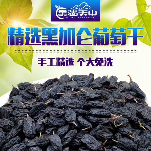 新疆吐鲁番黑加仑 AWJM 商品图0