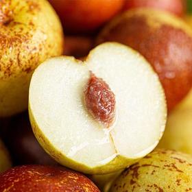 【果蔬精选】山东•沾化冬枣 颗颗精选汁水足 甜脆过瘾 皮薄肉脆 营养丰富 产地现摘现发 新鲜到家