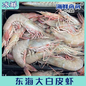 东海大白皮虾