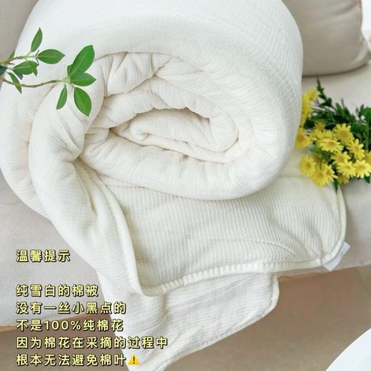 新疆棉花被【冬天备起来】 商品图7