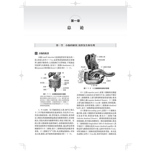 肠道影像学 小肠的解剖 组织发生和生理 小肠疾病的诊断流程 结肠疾病的检查方法 主编 缪飞 9787547867846 上海科学技术出版社 商品图3