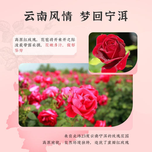 雅觅玫瑰绿豆糕320g 商品图5