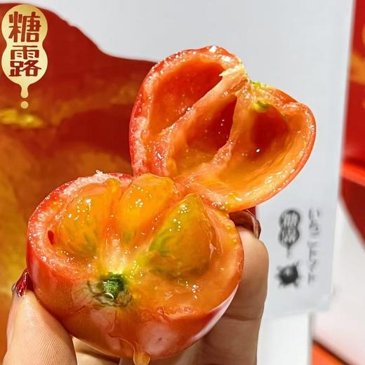 酸甜美味 | 【糖露西红柿番茄🍅】✅外表红黄绿相间，个头不大还有绿肩，看着憨憨的🤩像水果一样好吃，香甜的绿芯番茄，肉厚皮脆，种籽饱满，晶莹透绿，惹人喜爱 商品图1