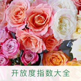 方德基地玫瑰品种开放度指数大全