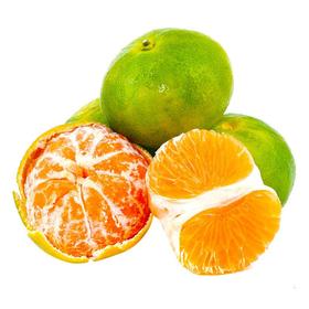 【早夜市特惠】蜜桔约500g/份