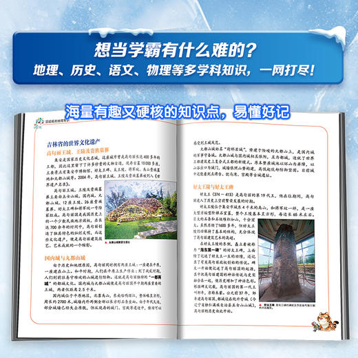 大中华寻宝系列1-31礼盒装 商品图5