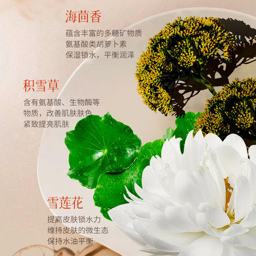 秋冬季新款【马油400ml滋润防干裂身体乳】提亮保湿补水清爽不粘腻手足护理 商品图2