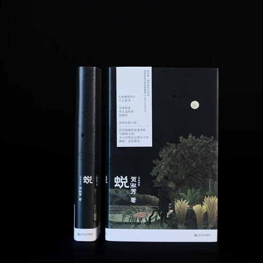 蜕（《亚洲周刊》十大好书，马华女作家贺淑芳首部长篇小说） 商品图4