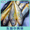 东海小黄鱼 商品缩略图0