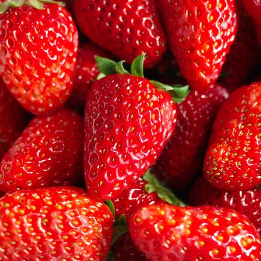 草莓拿破仑 商品图2