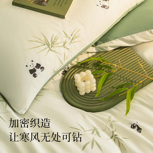 【绘睡】60支全棉暖绒磨毛四件套 商品图2