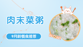 9月龄：肉末菜粥