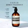 【跨境】AESOP/伊索 尊尚芳香洗手液500ml 磨砂 深层温和清洁持久留香保湿滋润呵护肌肤手部清洁露 商品缩略图1