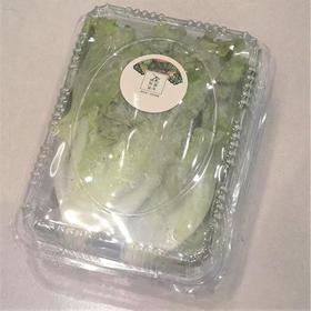 “阿德童年”生菜 400g/份