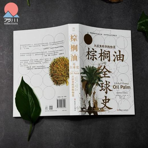 棕榈油的全球史 : 从奴隶船到购物篮 商品图2