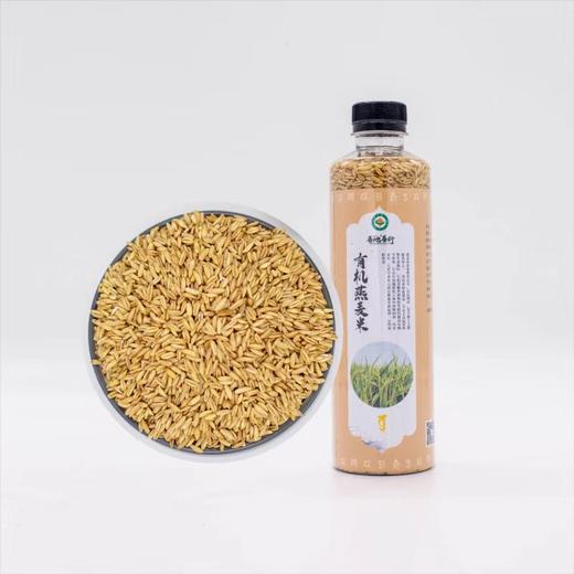 有机藜麦米、荞麦米、燕麦米  //  善地善行 商品图2