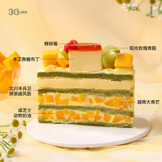 森系鲜芒布丁，可选1.5/2.5磅 商品图1