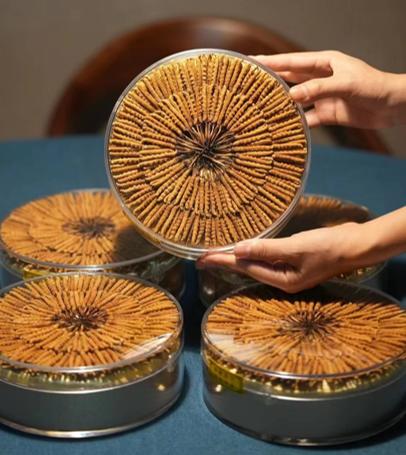 【冬虫夏草】干虫草精品奢华礼盒 【36根（2000头/斤）】【100根（3000头/斤）】 商品图1