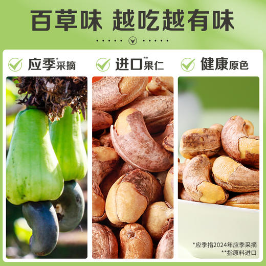 紫皮腰果500g（袋装） 商品图1