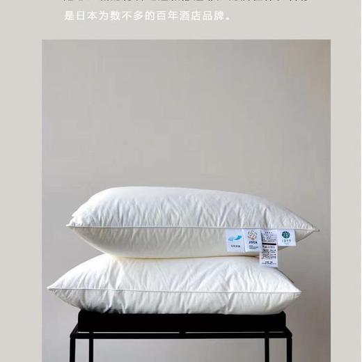 1899酒店枕芯【一对装！】外贸原单！ 商品图2