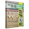 河北蔚县壶流河湿地鸟类图鉴 &2705 商品缩略图0