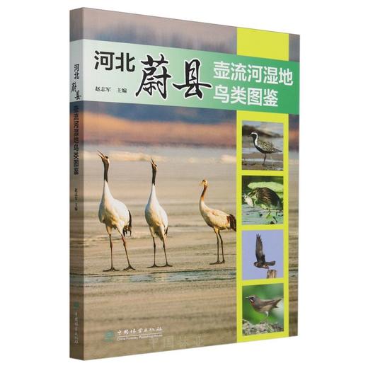 河北蔚县壶流河湿地鸟类图鉴 &2705 商品图0