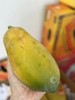〔上海直发包邮01〕海南奶酪木瓜（树上熟） 商品缩略图3