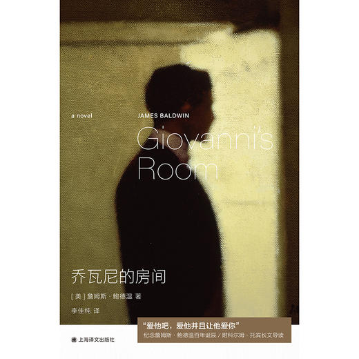 乔瓦尼的房间 群岛图书 [美]詹姆斯·鲍德温 著 李佳纯 译 爱情经典 美国文学 附科尔姆·托宾精彩导读 上海译文 正版 商品图2