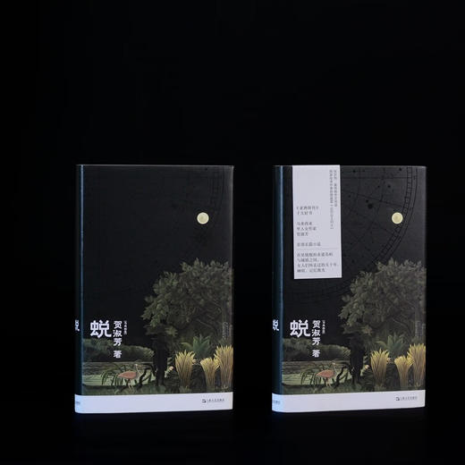 蜕（《亚洲周刊》十大好书，马华女作家贺淑芳首部长篇小说） 商品图3