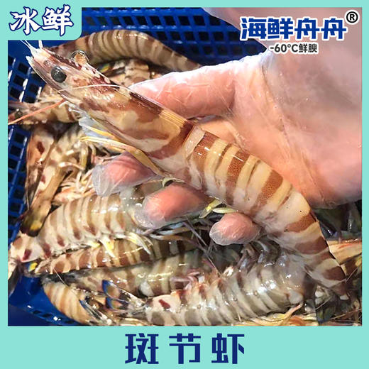 斑节虾 商品图0