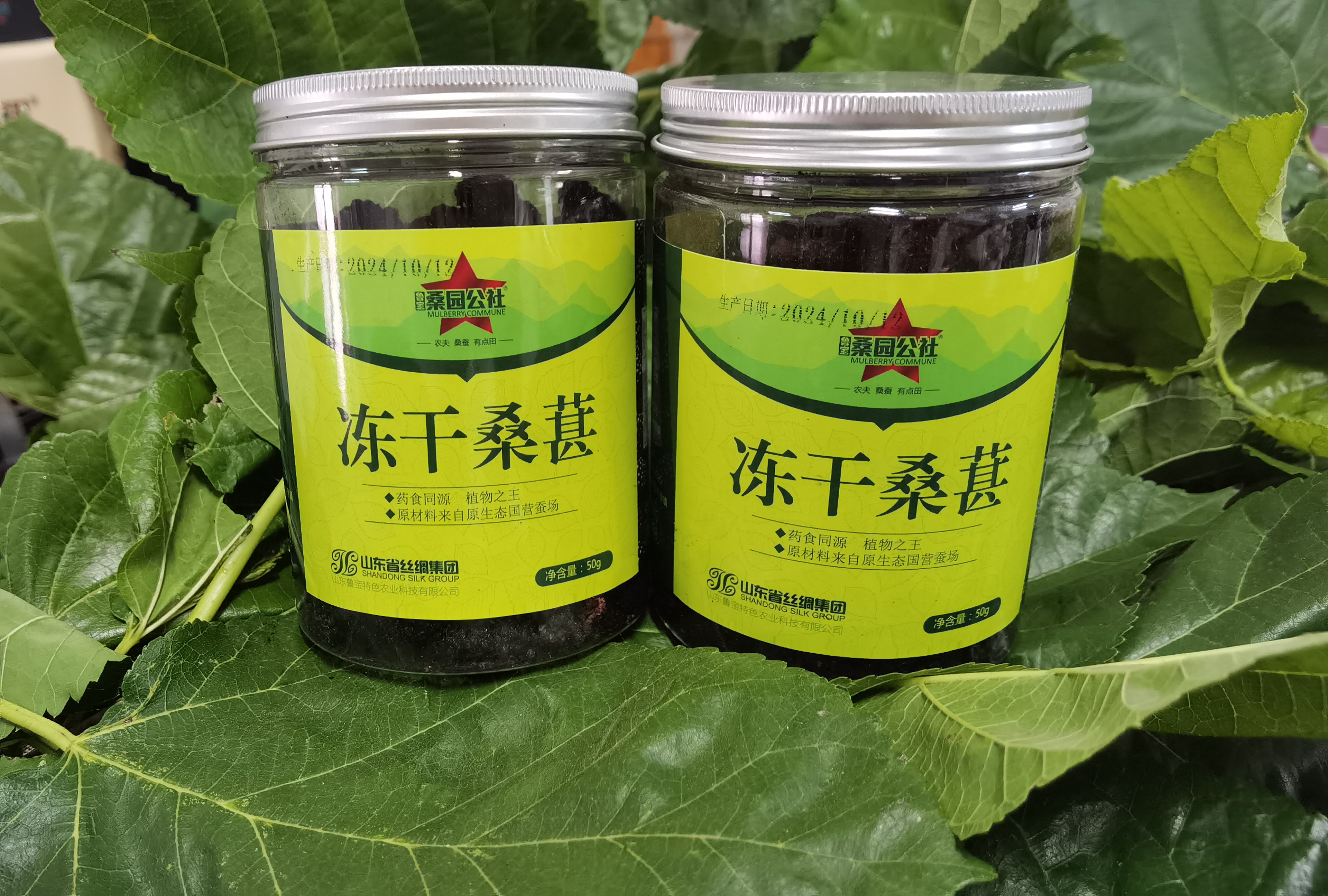 【桑园公社】冻干桑椹(50g/盒)