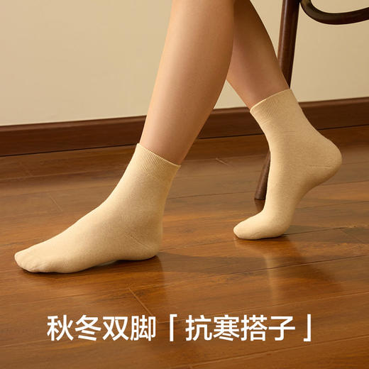 【毛巾底】有棵树纯棉7A级抗菌女士中筒袜3双装-S4018 商品图1