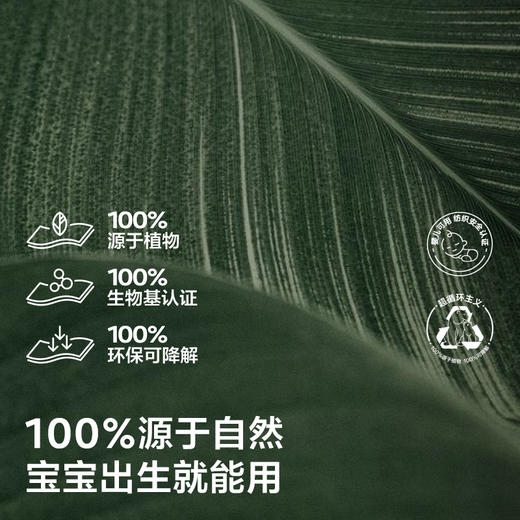 【全新升级】【babycare好物集】柔巾婴儿干湿两用新生宝宝专用小熊巾抽取加厚80抽4包或24包 商品图4