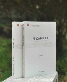 《印度古代文化史》+《中印文化交流史》，16开平装，薛克翘著，中国大百科出版社2016-2017年一版一印，两册总定价116元，售价38元。