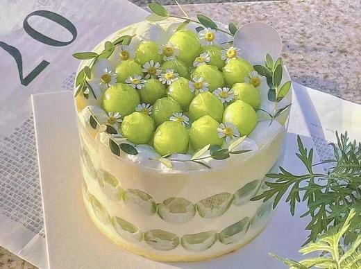 绿野仙踪 商品图0