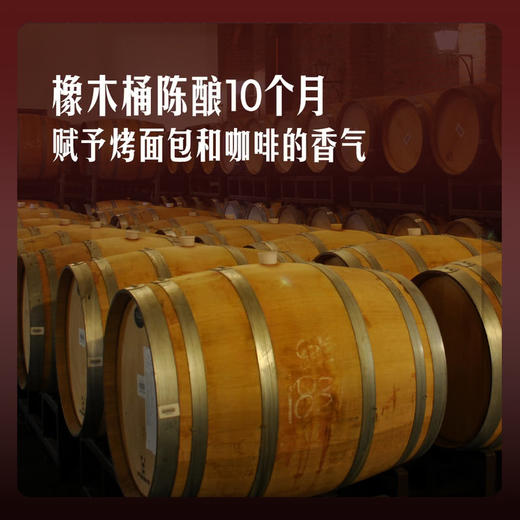 MM 山姆 干露红魔鬼 智利进口 赤霞珠干红葡萄酒 1.5L 商品图2